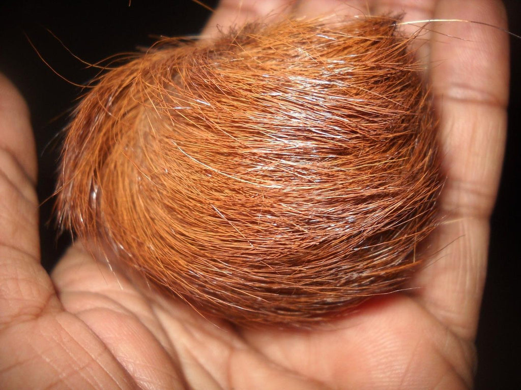 Original Kasturi – Sabse Powerful Wealth & Attraction Energy
